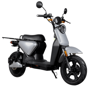 DK-VS5-MAX ELEKTRO-ROLLER 70 KMH